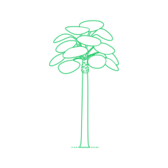 Plants Palms Mexican Blue Palm Silhouette Cutting Svg Files, Free Vectors File